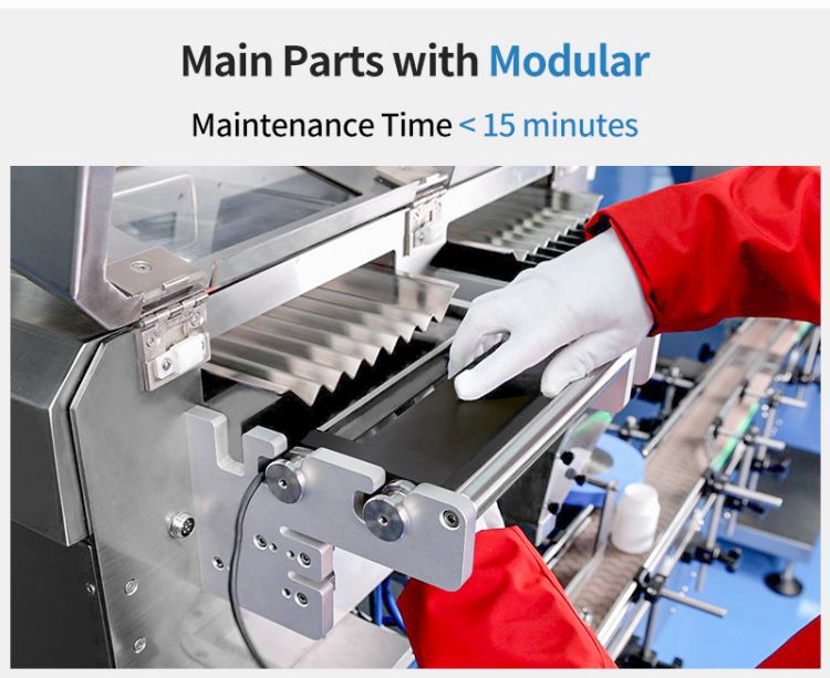 modular capsule counting machine